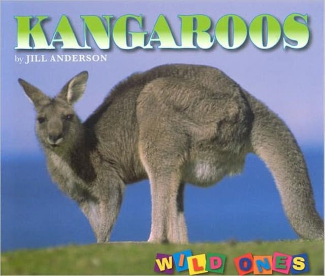 Kangaroos, Paperback / softback Book
