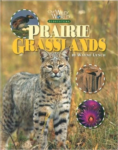 Prairie Grasslands, Hardback Book