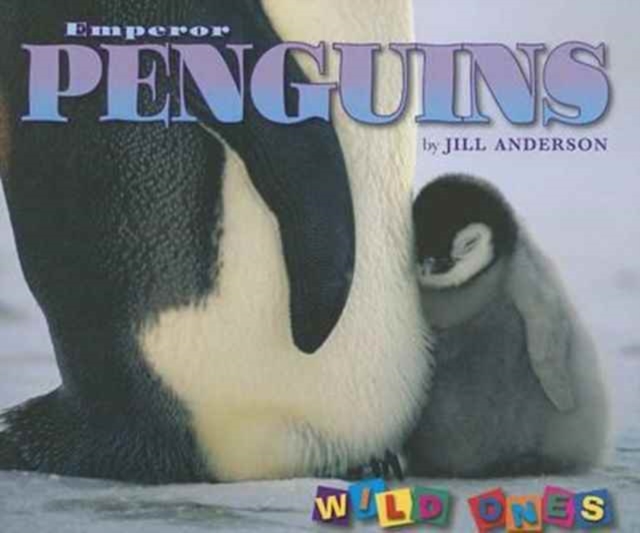 Emperor Penguins, Paperback / softback Book