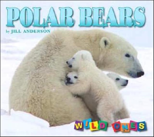 Polar Bears, Hardback Book