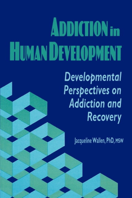 Addiction in Human Development : Developmental Perspectives on Addiction and Recovery, Paperback / softback Book