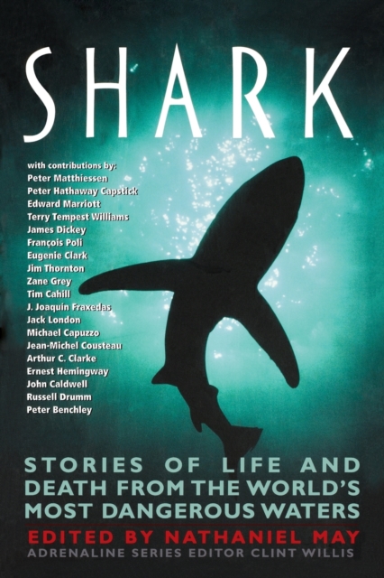 Shark : Stories of Life and Death from the World's Most Dangerous Waters, Paperback Book