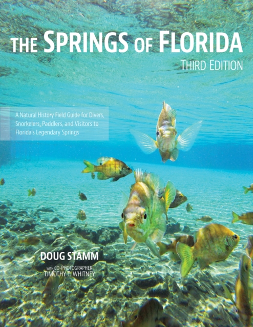 The Springs of Florida, Paperback / softback Book