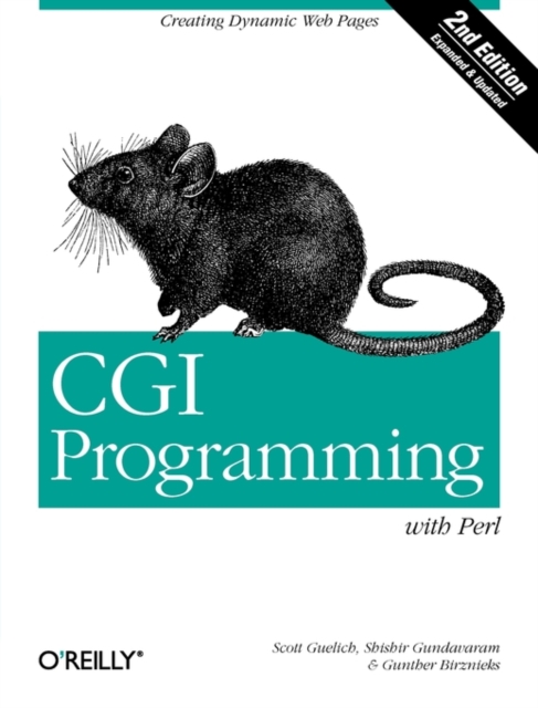 CGI Programming with Perl 2e, Paperback / softback Book