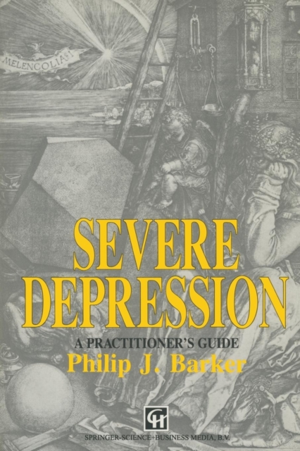 Severe Depression : A practitioner's guide, Paperback / softback Book