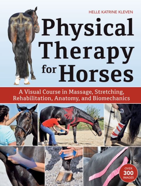 Physical Therapy for Horses : A Visual Course in Massage, Stretching, Rehabilitation, Anatomy, and Biomechanics, EPUB eBook
