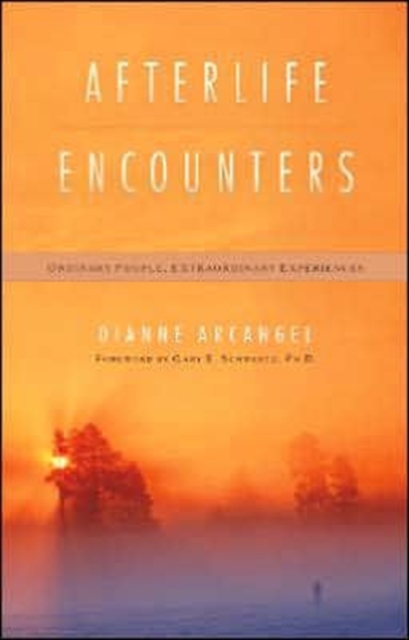 Afterlife Encounters : Ordinary People Extraordinary Experiences, Paperback / softback Book