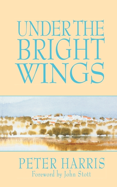 Under the Bright Wings, Paperback / softback Book