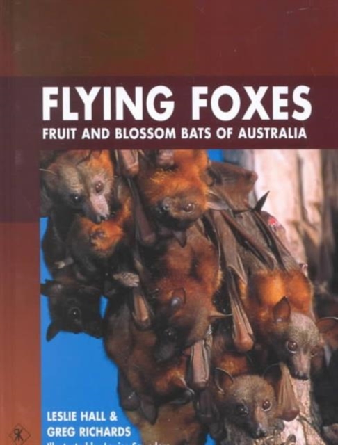 Flying Foxes, Fruit and Blossom Bats of Australia, Hardback Book