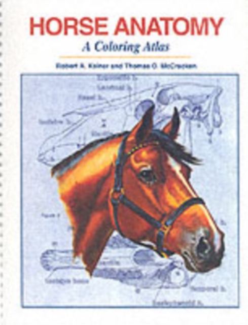 Horse Anatomy : A Coloring Atlas, Spiral bound Book
