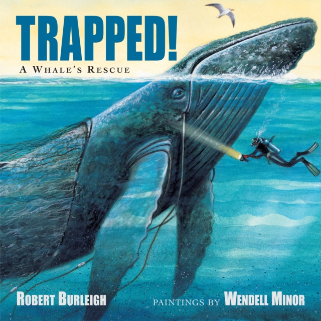 Trapped! : A Whale's Rescue, Paperback / softback Book