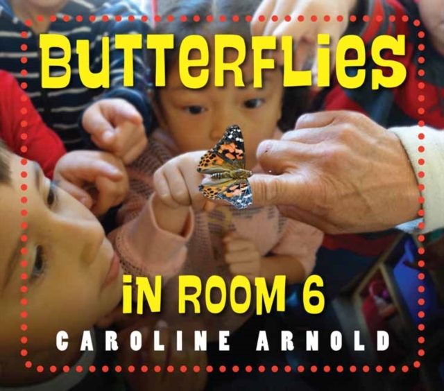 Butterflies in Room 6, Hardback Book