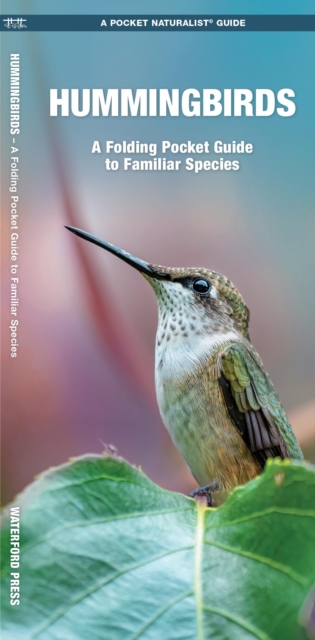 Hummingbirds : A Folding Pocket Guide to Familiar Species, Pamphlet Book