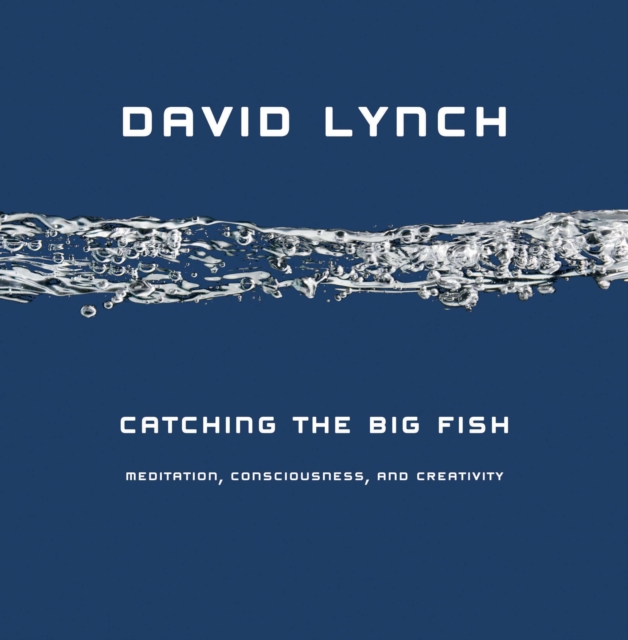 Catching the Big Fish : Meditation, Consciousness and Creativity, Hardback Book