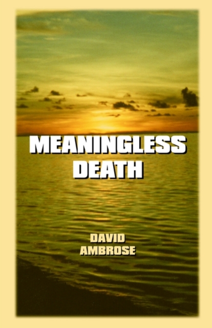 Meaningless Death, Paperback / softback Book