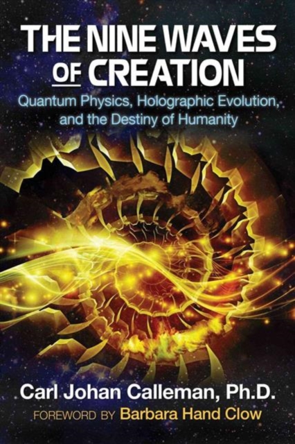 The Nine Waves of Creation : Quantum Physics, Holographic Evolution, and the Destiny of Humanity, Paperback / softback Book