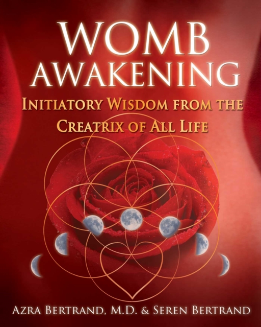 Womb Awakening : Initiatory Wisdom from the Creatrix of All Life, Paperback / softback Book