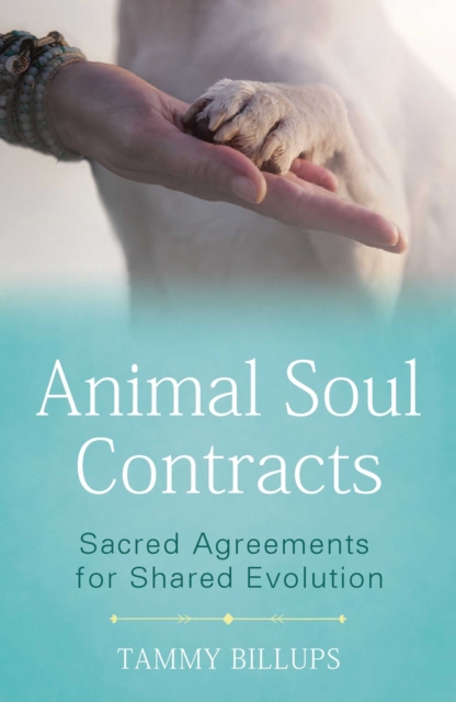 Animal Soul Contracts : Sacred Agreements for Shared Evolution, Paperback / softback Book