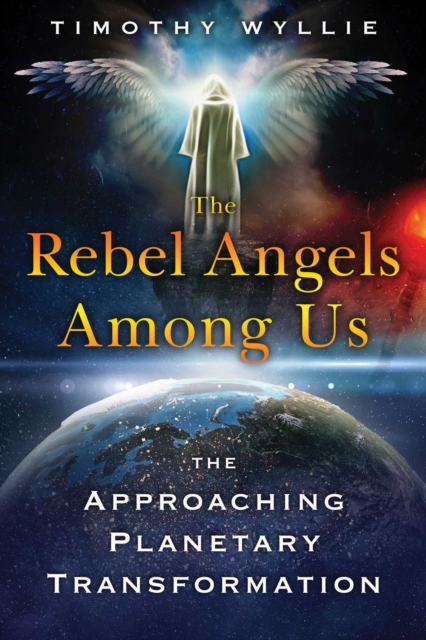 The Rebel Angels among Us : The Approaching Planetary Transformation, Paperback / softback Book