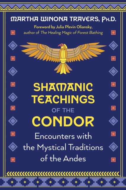 Shamanic Teachings of the Condor : Encounters with the Mystical Traditions of the Andes, EPUB eBook