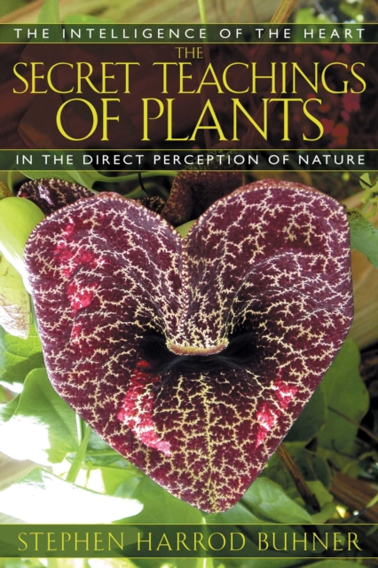 The Secret Teachings of Plants : The Intelligence of the Heart in the Direct Perception of Nature, EPUB eBook