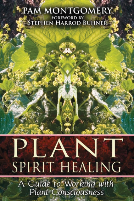 Plant Spirit Healing : A Guide to Working with Plant Consciousness, EPUB eBook