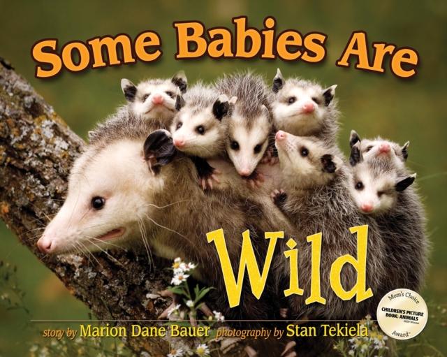 Some Babies Are Wild, Hardback Book