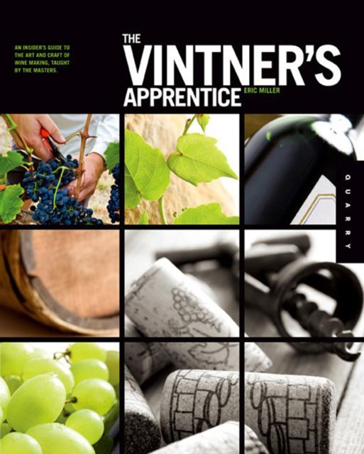 The Vintner's Apprentice : An Insider's Guide to the Art and Craft of Wine Making, Taught by the Masters, Paperback / softback Book
