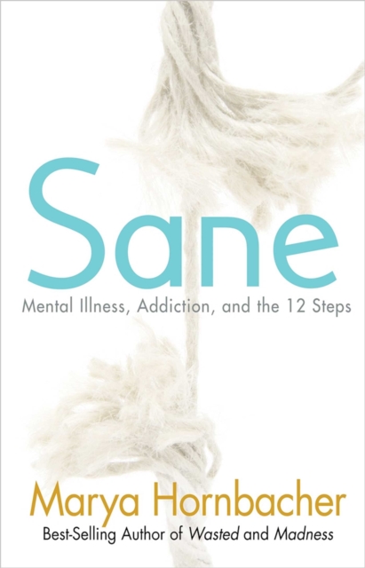Sane : Mental Illness, Addiction, and the 12 Steps, EPUB eBook