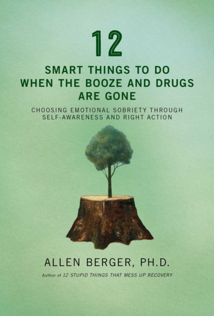 12 Smart Things to Do When the Booze and Drugs Are Gone : Choosing Emotional Sobriety through Self-Awareness and Right Action, EPUB eBook