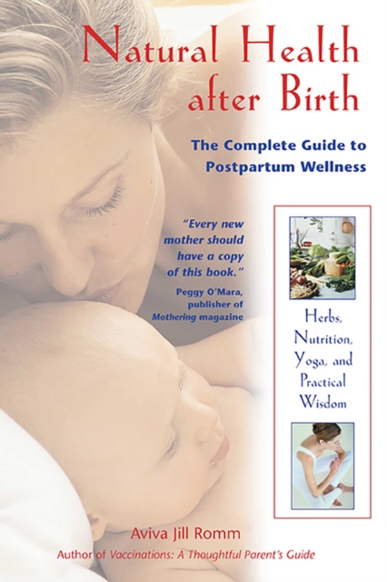 Natural Health after Birth : The Complete Guide to Postpartum Wellness, EPUB eBook