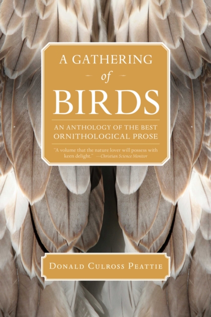 A Gathering of Birds : An Anthology of the Best Ornithological Prose, EPUB eBook