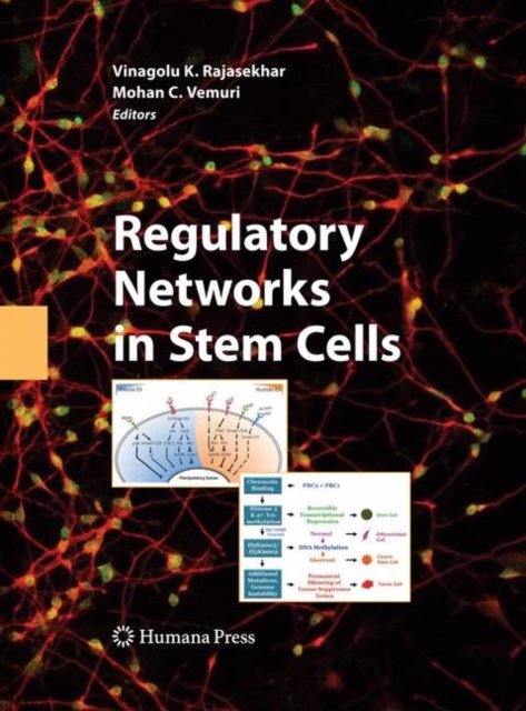 Regulatory Networks in Stem Cells, Hardback Book