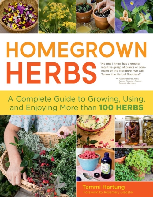 Homegrown Herbs : A Complete Guide to Growing, Using, and Enjoying More than 100 Herbs, Paperback / softback Book