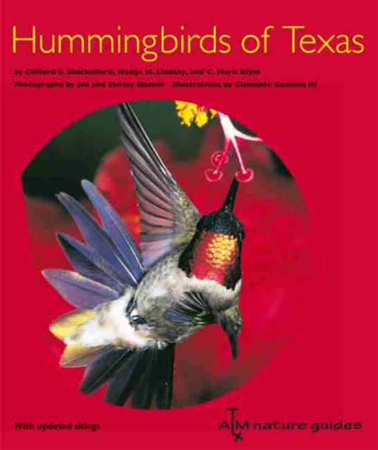 Hummingbirds of Texas : With Their New Mexico and Arizona Ranges, Paperback / softback Book