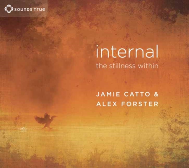 Internal : The Stillness within, CD-Audio Book