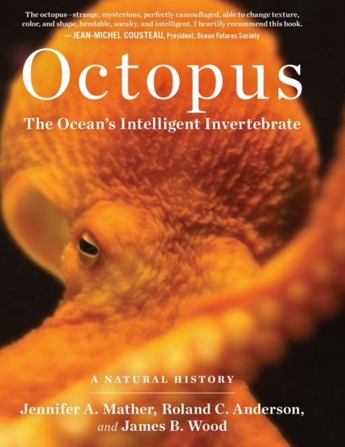 Octopus : The Ocean's Intelligent Invertebrate, Hardback Book