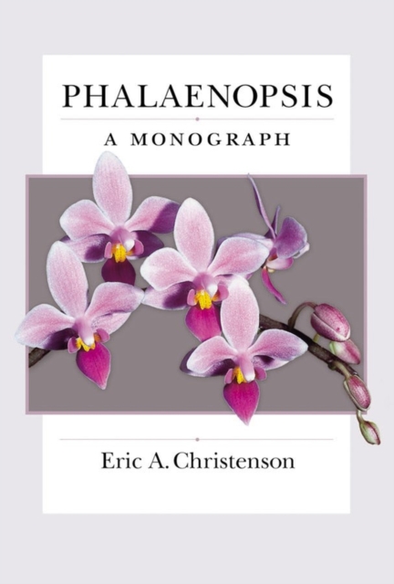 Phalaenopsis : A Monograph, Paperback / softback Book