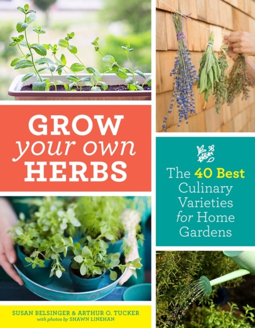 Grow Your Own Herbs : The 40 Best Culinary Varieties for Home Gardens, Paperback / softback Book