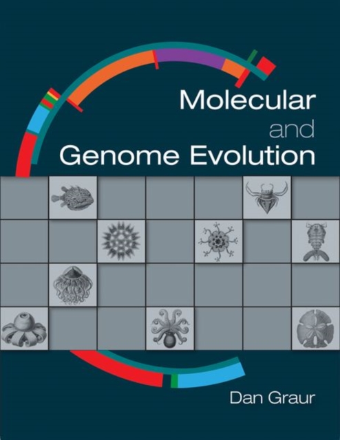 Molecular and Genome Evolution, Hardback Book
