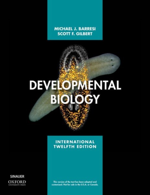 Developmental Biology, Paperback / softback Book