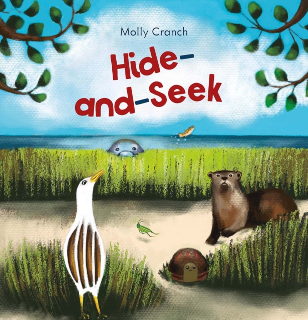 Hide-and-Seek, Hardback Book