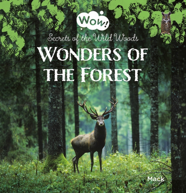 Wonders of the Forest. Secrets of the Wild Woods, Hardback Book
