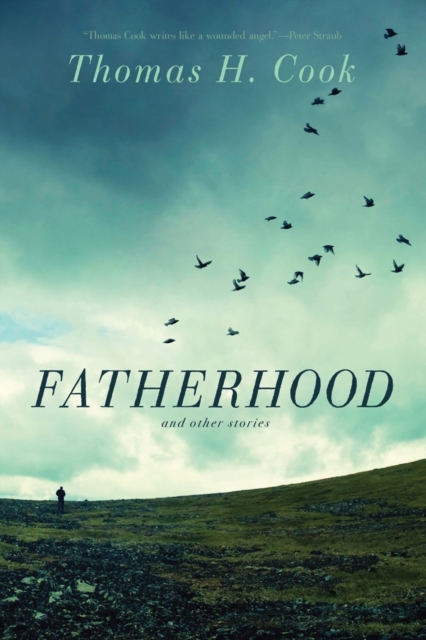 Fatherhood : And Other Stories, Hardback Book