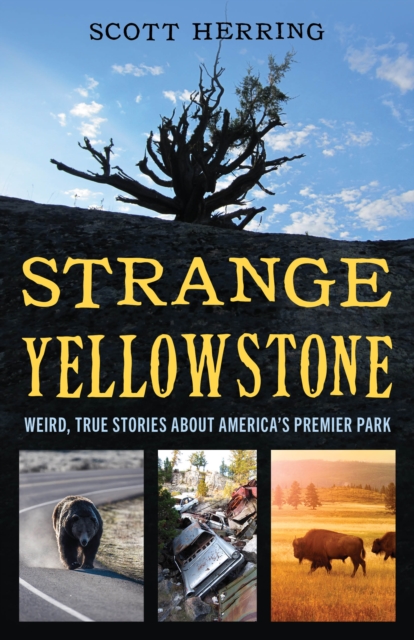 Strange Yellowstone : Weird, True Stories about America's Premier Park, Paperback / softback Book