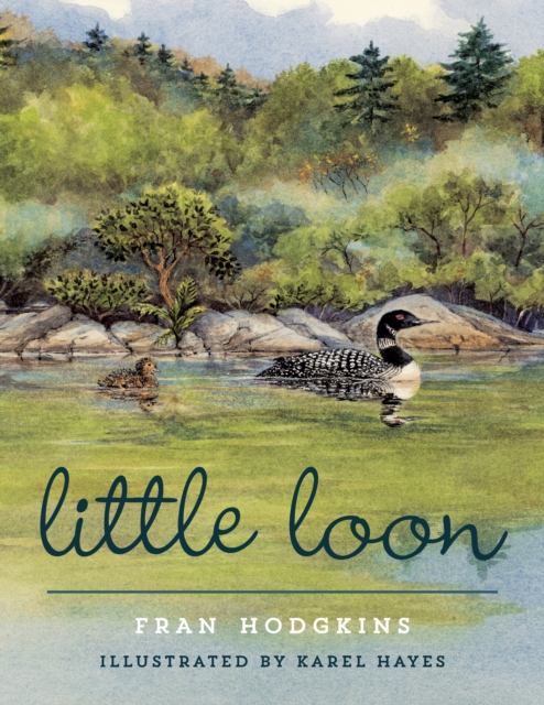 Little Loon, Hardback Book