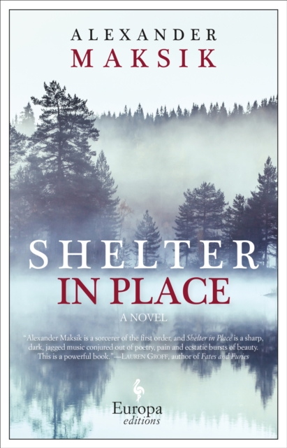 Shelter in Place : A Novel, EPUB eBook