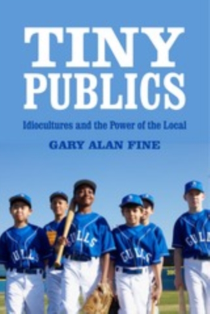Tiny Publics : A Theory of Group Action and Culture, PDF eBook