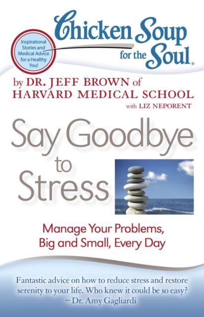 Chicken Soup for the Soul: Say Goodbye to Stress : Manage Your Problems, Big and Small, Every Day, EPUB eBook
