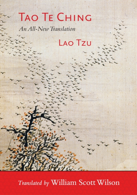 Tao Te Ching : A New Translation, Paperback / softback Book